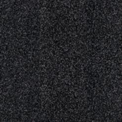 Snugville Black Carpet