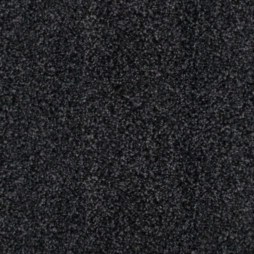 Snugville Black Carpet